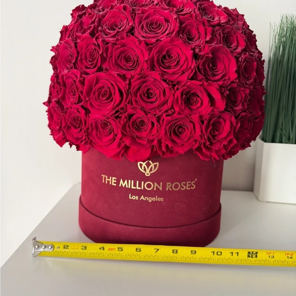 SUPREME BORDEAUX SUEDE SUPERDOME BOX | BURGUNDY ROSES